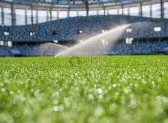 瓜迪奥拉独,家揭秘,揭秘我与吉,万博,ManBetX,万博官网,万博体育官网,万博体育下载,万博APP,万博娱乐平台