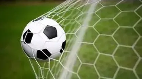 “连续三战告捷，NBL赛场揭秘：跳蚁激战破坏者，胜利轨迹大解析！”