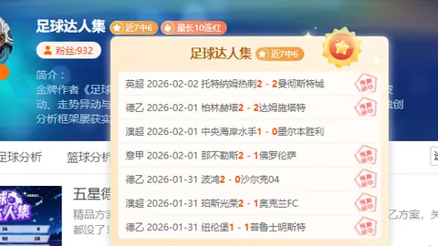 南非队勇捧2025橄榄球世界杯桂冠