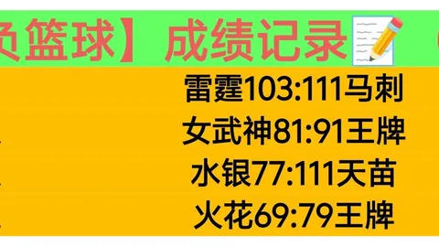 曼联官方报价万博体育价格：西汉姆联新援马特乌斯费尔南德斯引进幕后