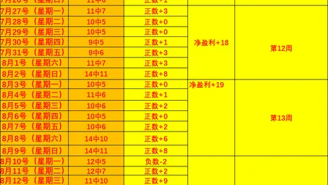 焦点解析：火花队轻松之旅指南